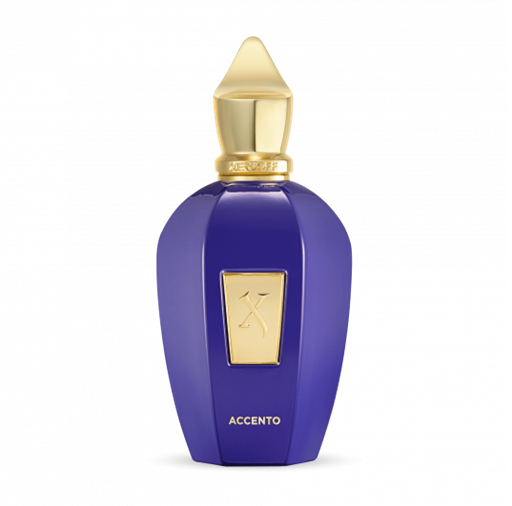 Xerjoff Accento Eau De Parfum 100ml 