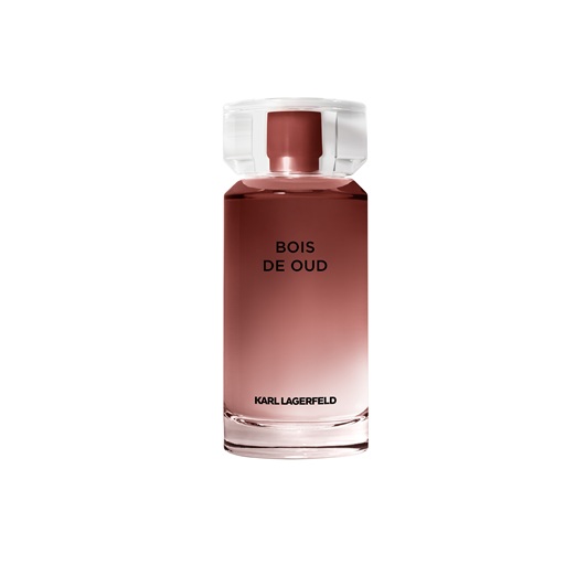 Karl Lagerfeld Bois De Oud Eau De Toilette 100ml